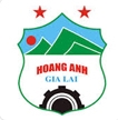 HAGL